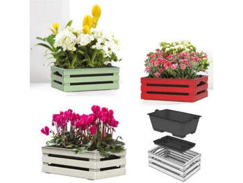 TINA 2 FLOWER   Alessandrelli Business Solutions