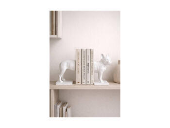 BULL DOG SET 2 FERMALIBRI 10X21 BIA   Alessandrelli Business Solutions