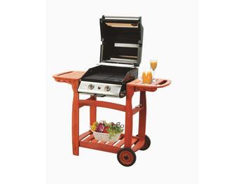 BARBECUE GAS MARTE   Alessandrelli Business Solutions