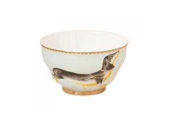 TEACUP AND SAUCER DOGGIE GB   Alessandrelli Business Solutions