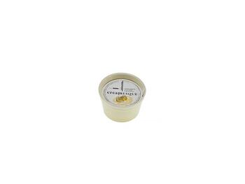 CANDELA GELATO DCM8XH5 CREAMA LIMON   Alessandrelli Business Solutions
