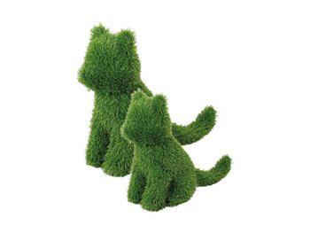 CESPUGLIO SEMPREVERDE FORMA GATTO M   Alessandrelli Business Solutions