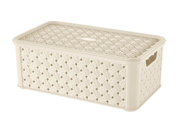 SCATOLA ARIANNA MEDIA L.4   Alessandrelli Business Solutions