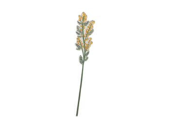 MIMOSA PICCOLA GIALLA FUNNY   Alessandrelli Business Solutions