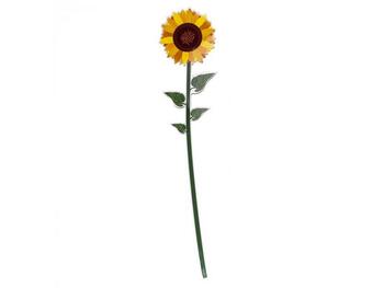 GIRASOLE GRANDE FUNNY FLO   Alessandrelli Business Solutions