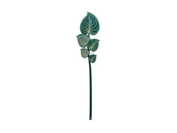 FOGLIA PICCOLA MARANTA VERDE FUNNY   Alessandrelli Business Solutions