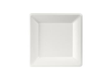 PIATTO PIANO QUADRO PEZZI 51   Alessandrelli Business Solutions