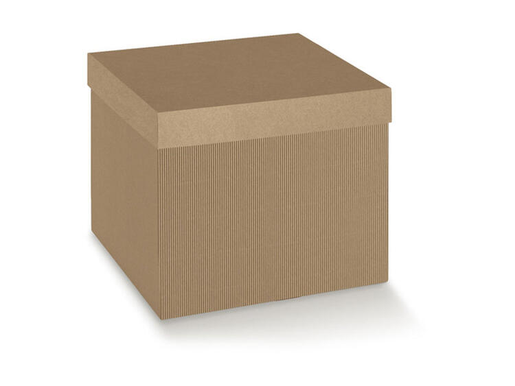 F/CECON 200X200X190 ON.AVANA 