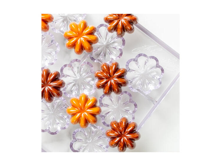 PRALINA ETOILE STAMPO BPA FREE 