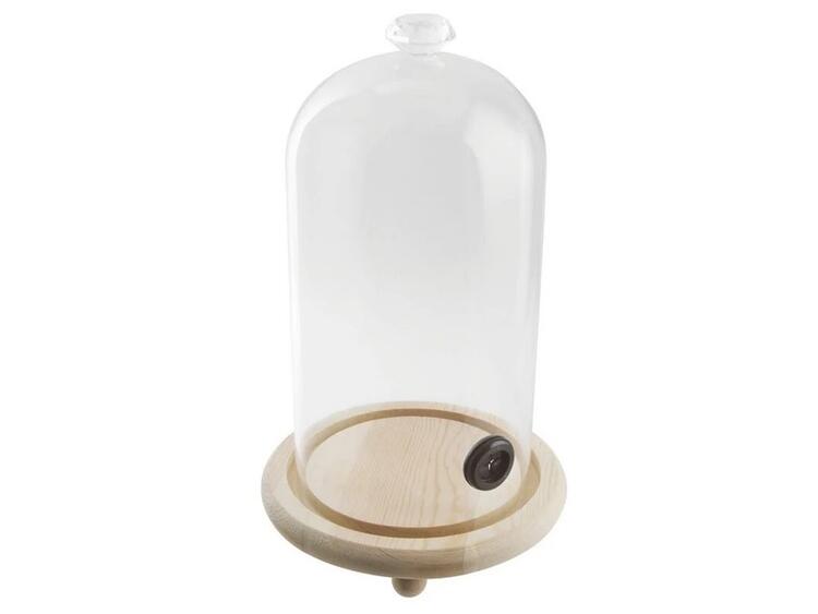 CLOCHE PER AFFUMICATORE VETRO LEGNO 