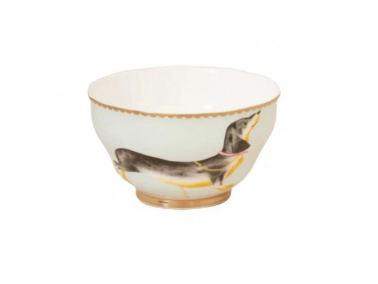 TEACUP AND SAUCER DOGGIE GB 