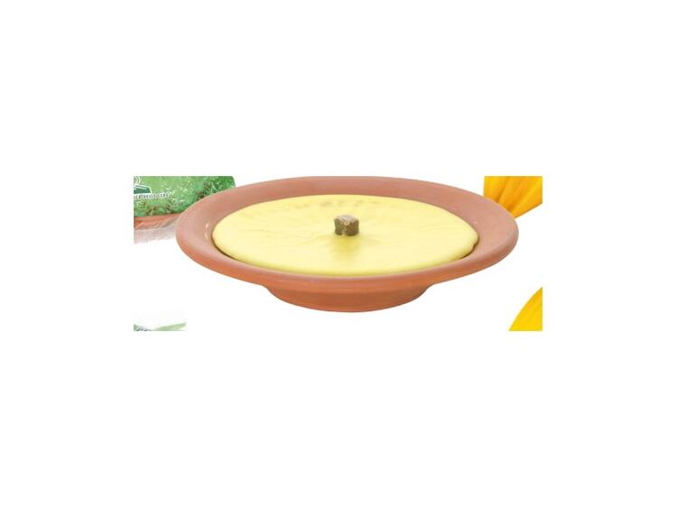 CITRONELLA TERRACOTTA D.14,5 