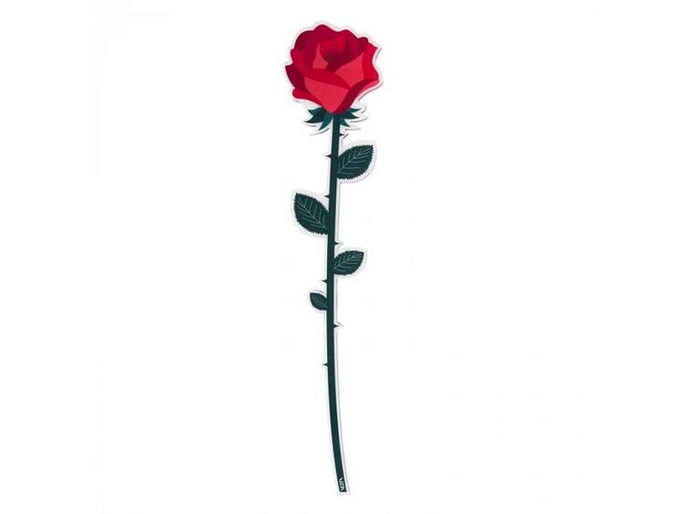 ROSA GRANDE ROSSA FUNNY 
