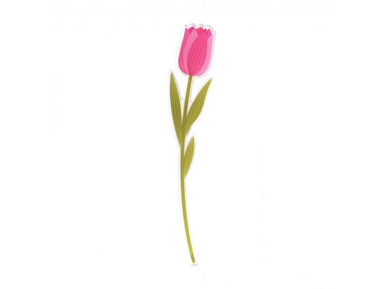 TULIPANO PICCOLO ROSA FUNN 