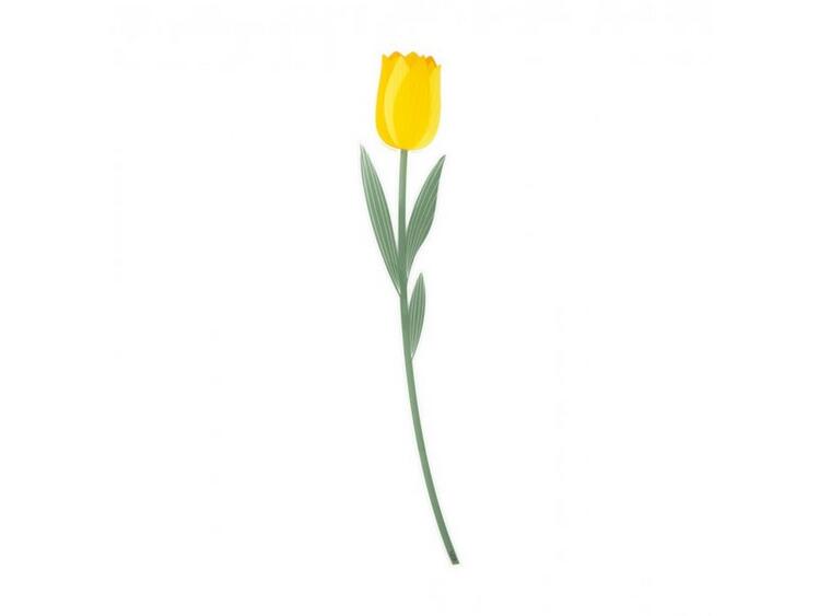 TULIPANO GRANDE GIALLO FUN 