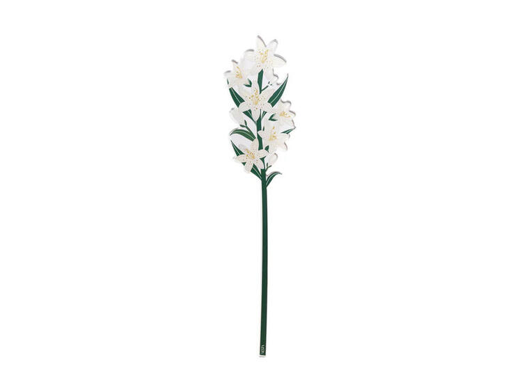 GIGLIO GRANDE BIANCO FUNNY FLOWER 
