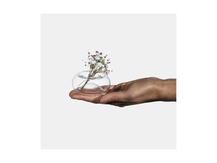 CININO VASETTO V/SABB C/LICHENE 